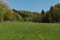 Naafbachtal